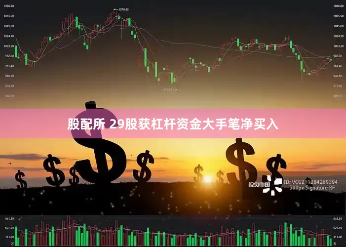 股配所 29股获杠杆资金大手笔净买入