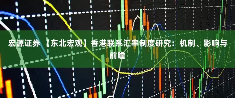 宏源证券 【东北宏观】香港联系汇率制度研究：机制、影响与前瞻