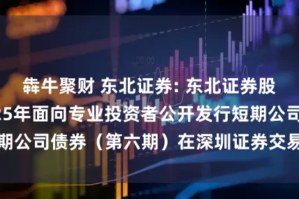 犇牛聚财 东北证券: 东北证券股份有限公司2025年面向专业投资者公开发行短期公司债券（第六期）在深圳证券交易所上市的公告