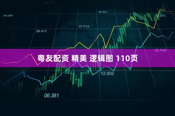 粤友配资 精美 逻辑图 110页
